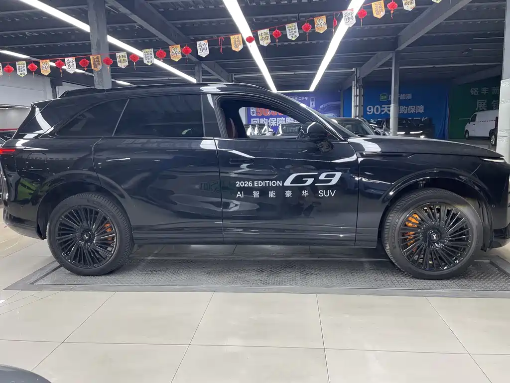 XPeng G9 — миниатюра 8