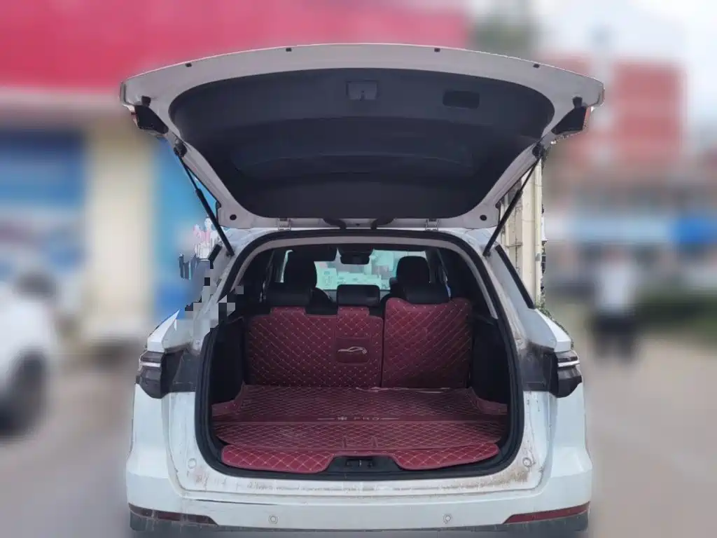 BYD Pro — миниатюра 10