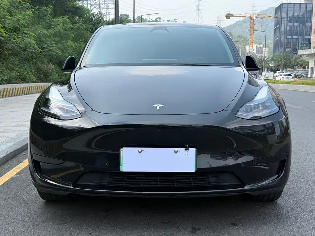 Tesla Model Y — миниатюра 2