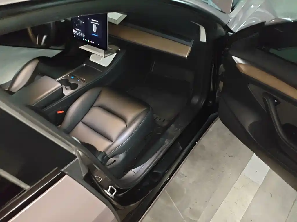Tesla Model 3 — миниатюра 19