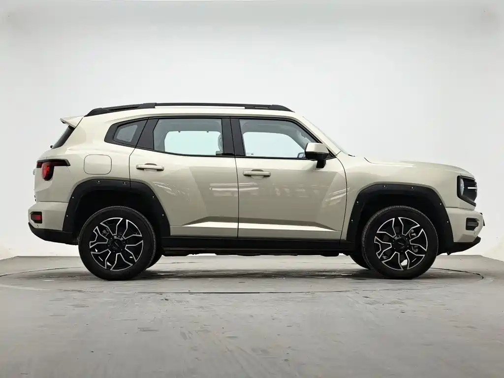 Haval Big Dog PLUS New Energy — миниатюра 6