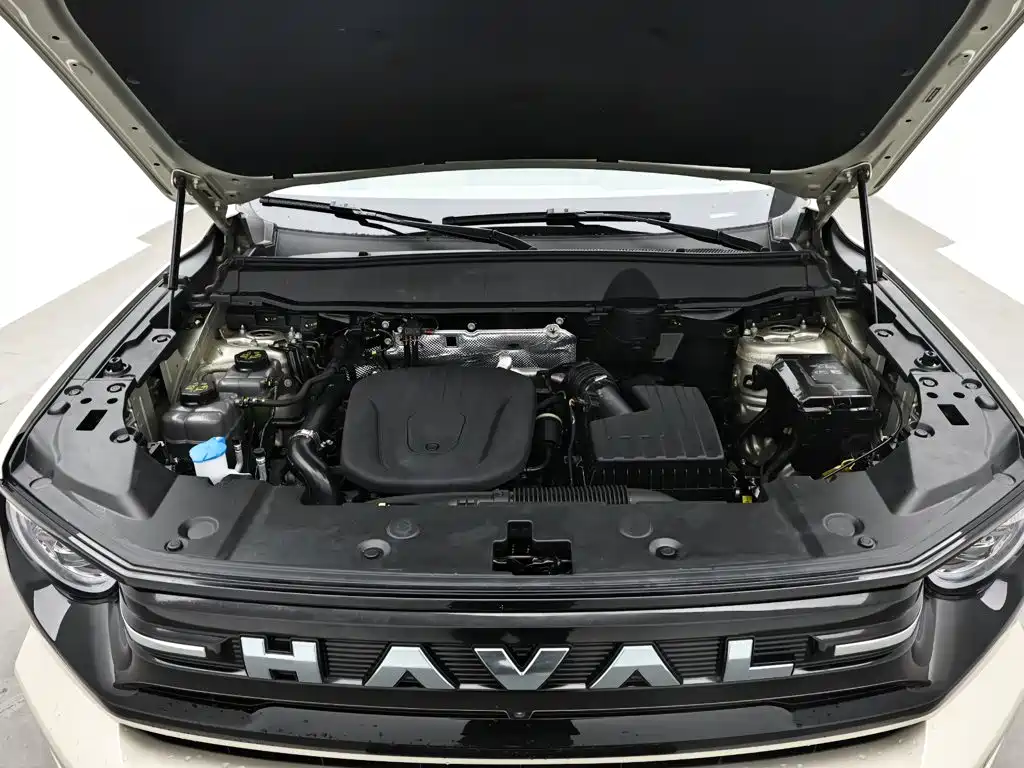 Haval Big Dog PLUS New Energy — миниатюра 16
