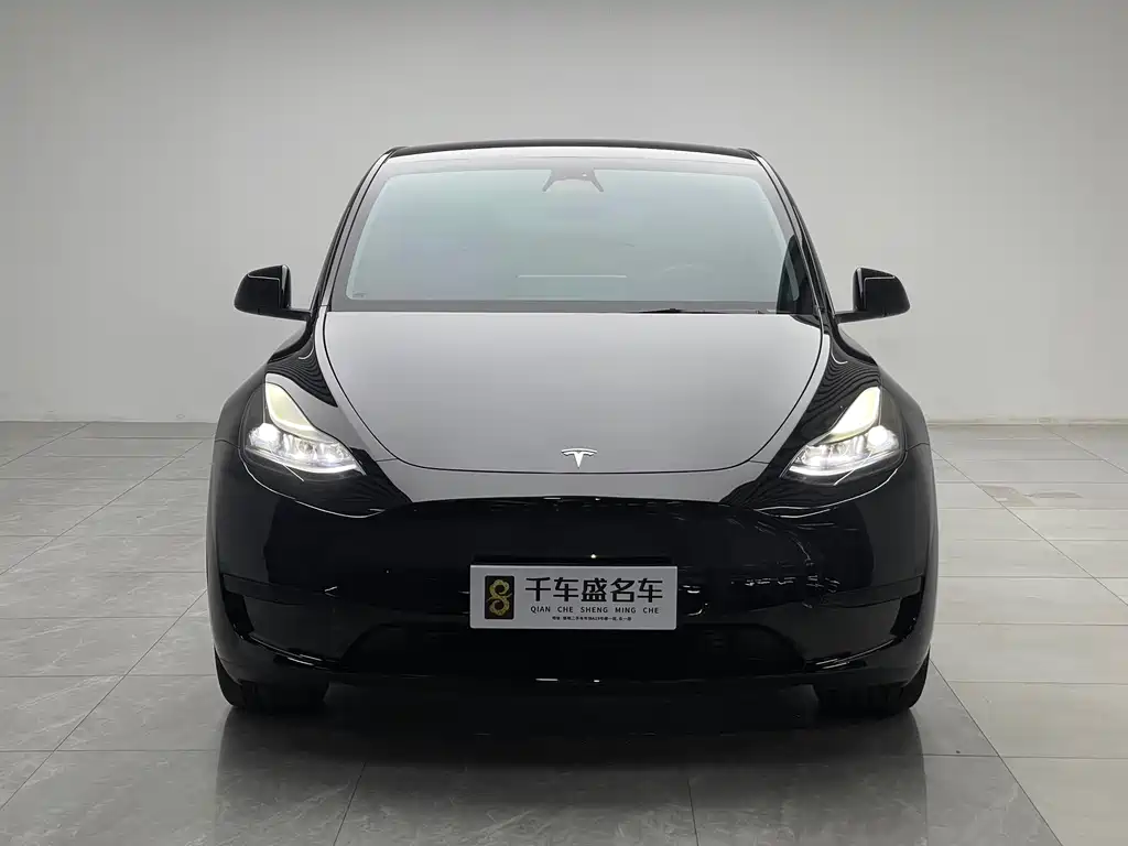 Tesla Model Y — миниатюра 2