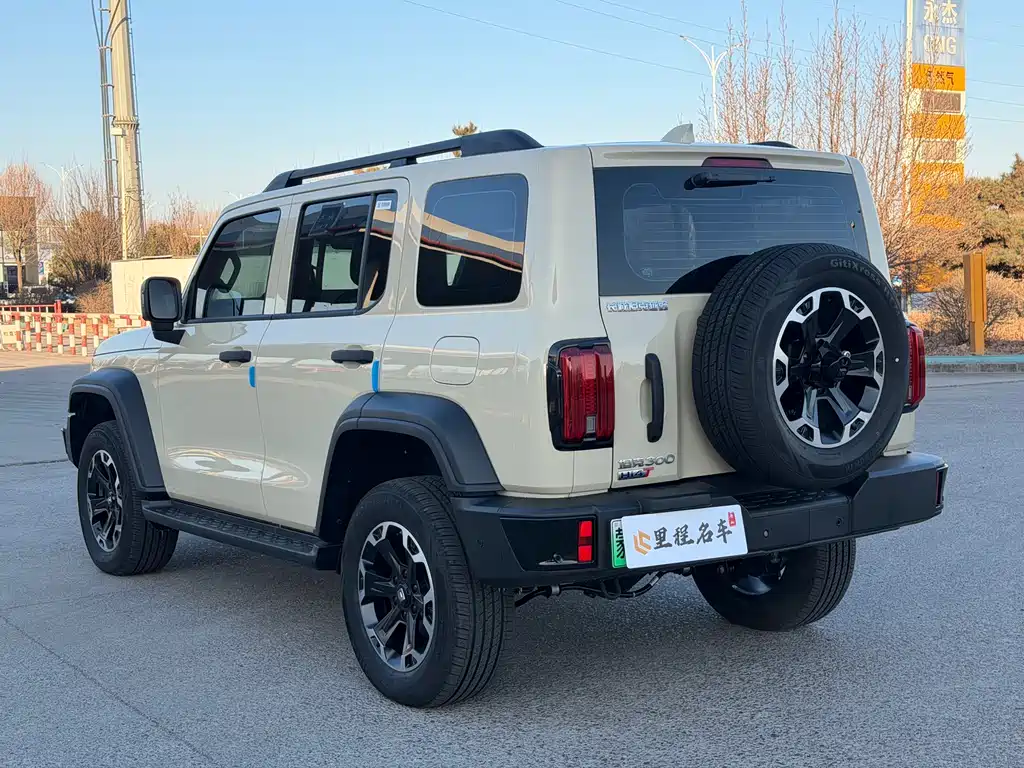 TANK TANK 300 NEW ENERGY