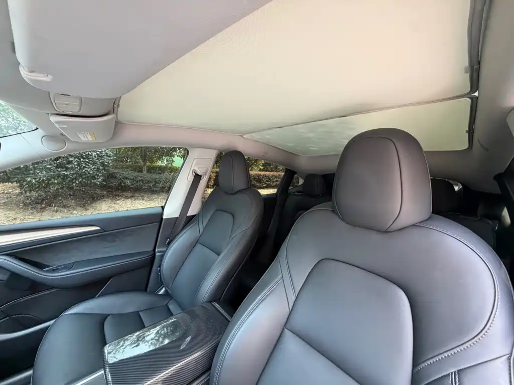 Tesla Model Y — миниатюра 9