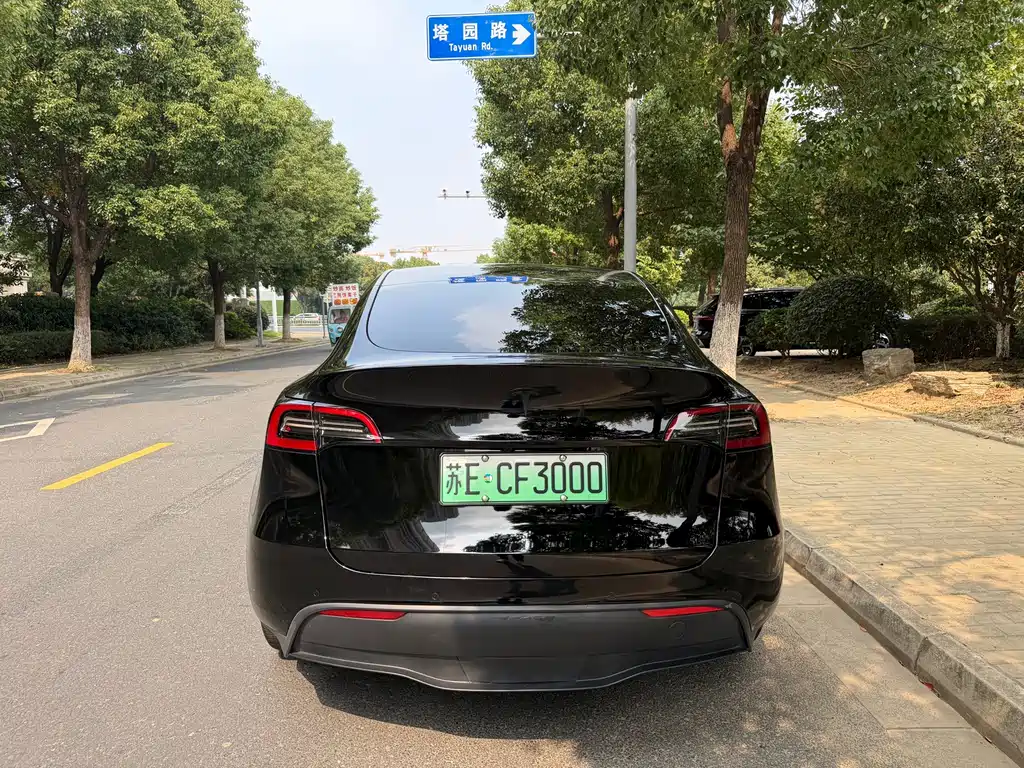 Tesla Model Y — миниатюра 18