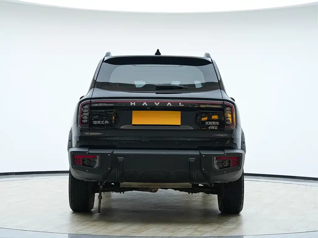 HAVAL BIG DOG