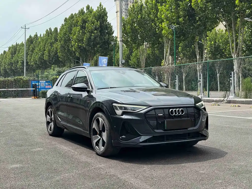 Audi e-tron (Import) — миниатюра 3