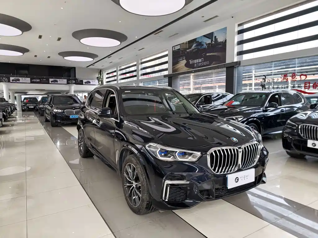 BMW X5 — миниатюра 3
