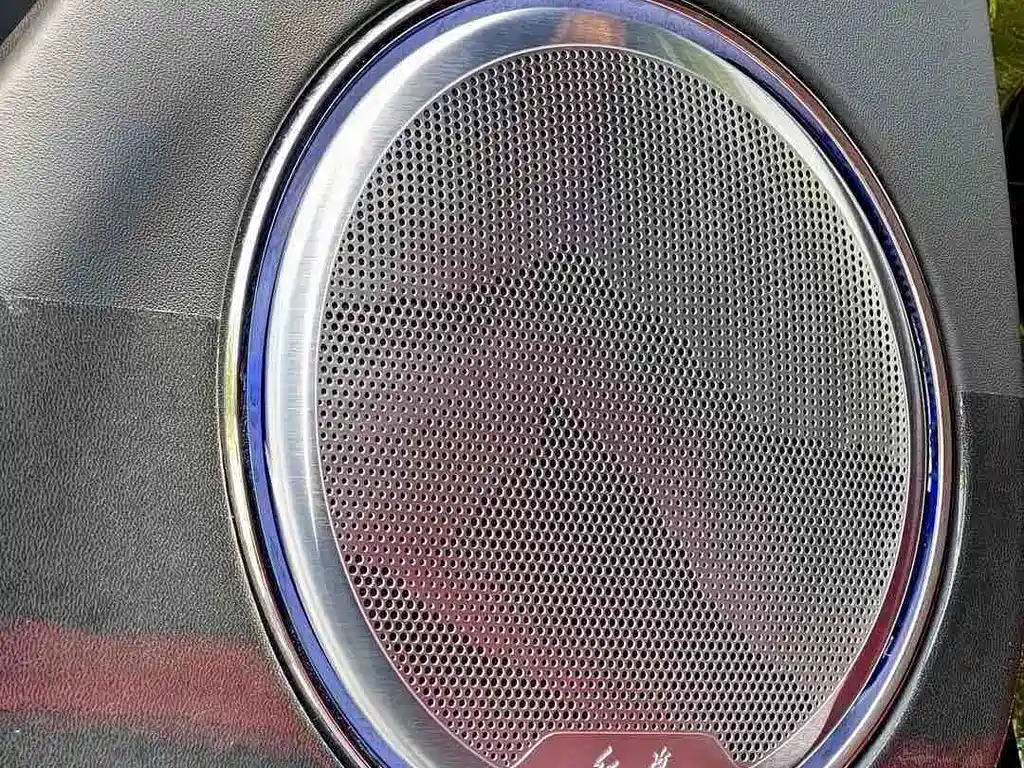 Hongqi Hongqi Golden Sunflower Guoyao — миниатюра 24