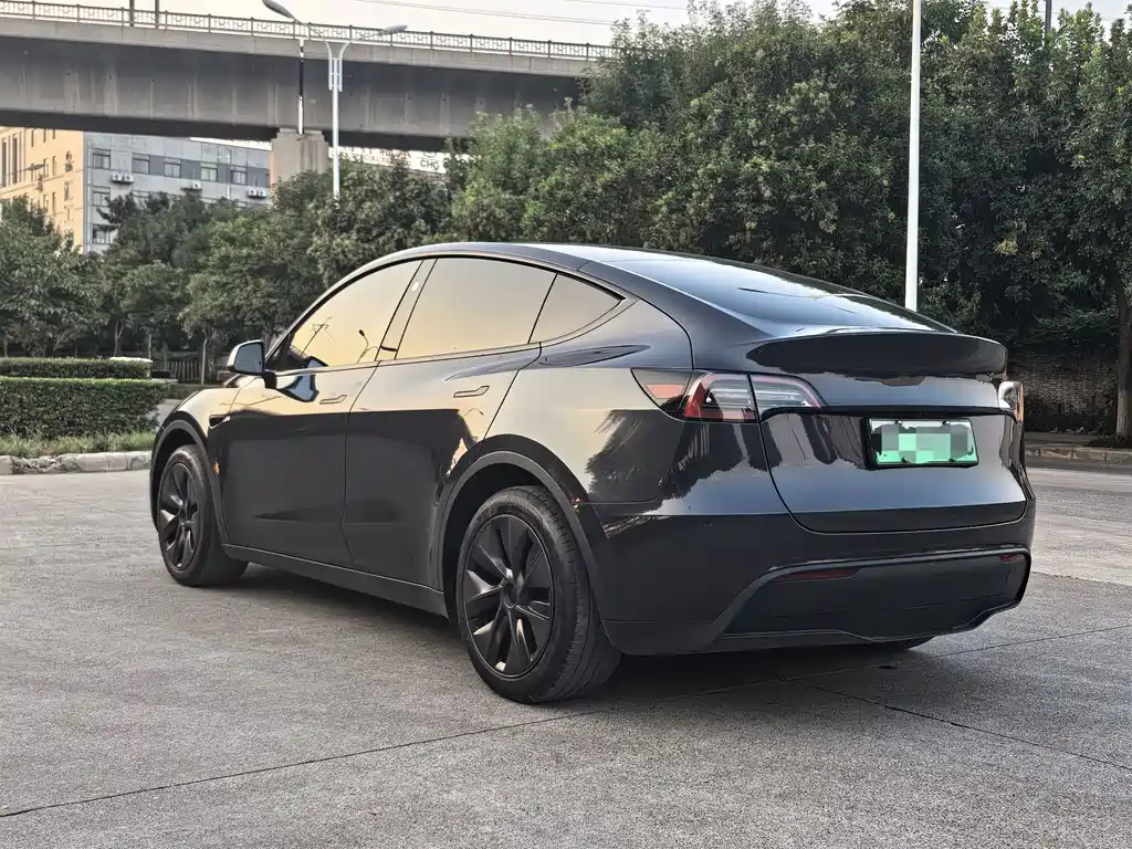 Tesla Model Y — миниатюра 7