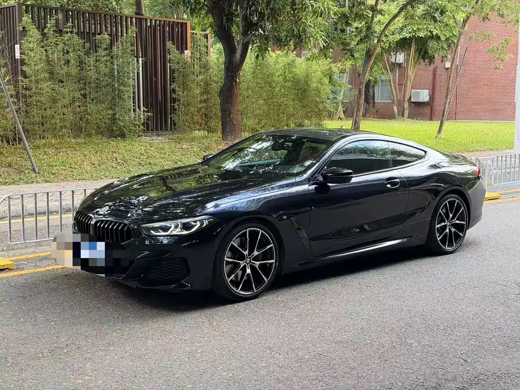 BMW 8 Series — миниатюра 3