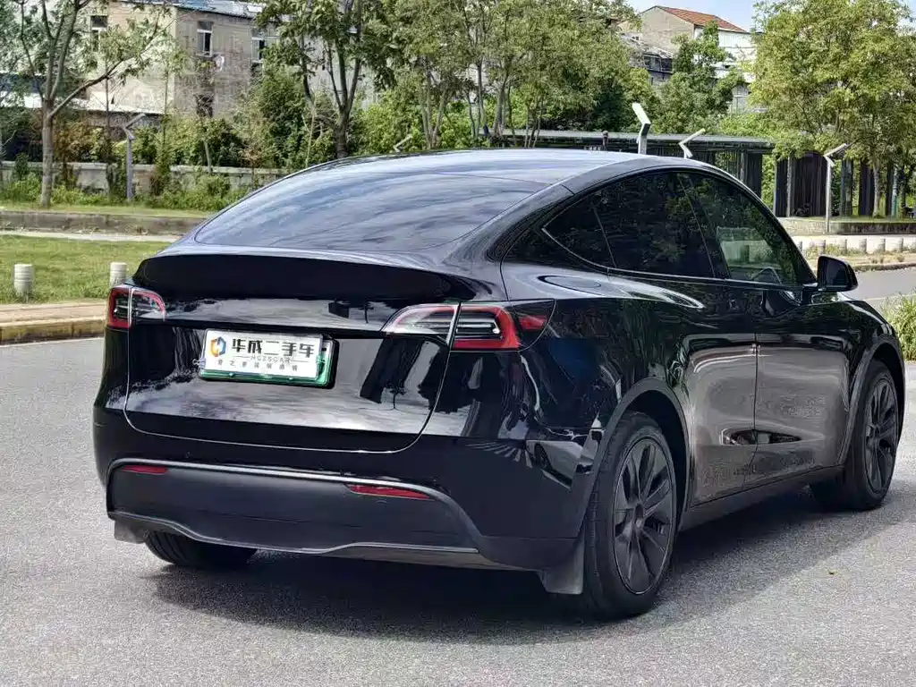 Tesla Model Y — миниатюра 5