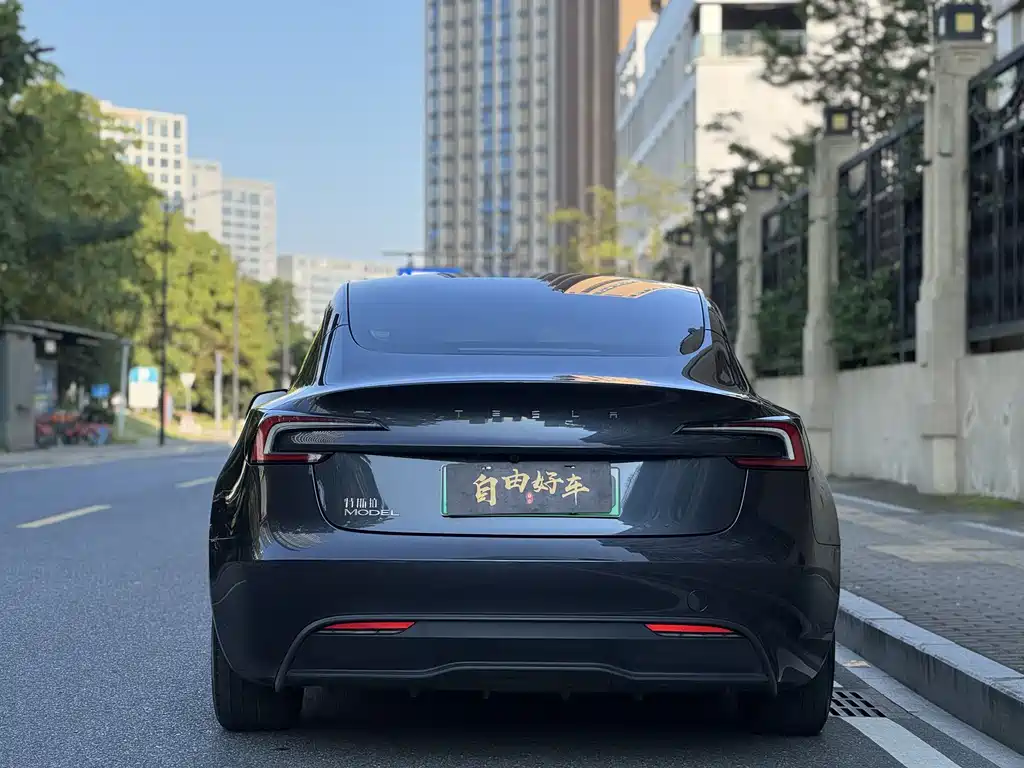 Tesla Model 3 — миниатюра 21