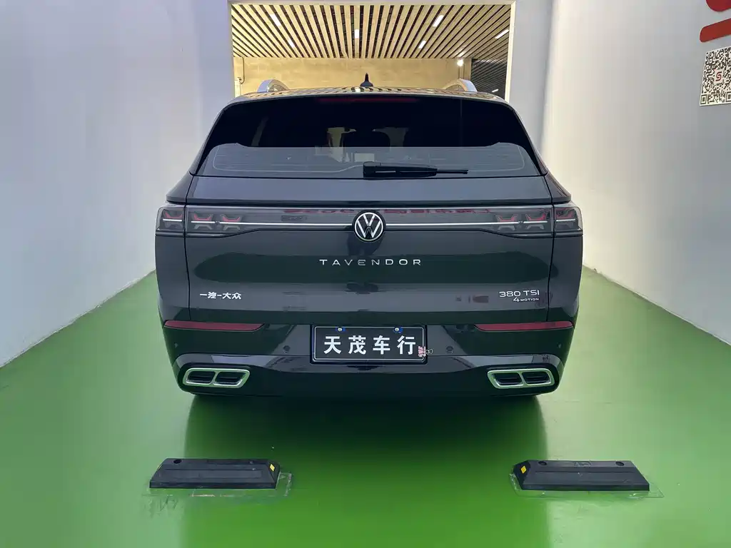 Volkswagen Tavendor — миниатюра 23