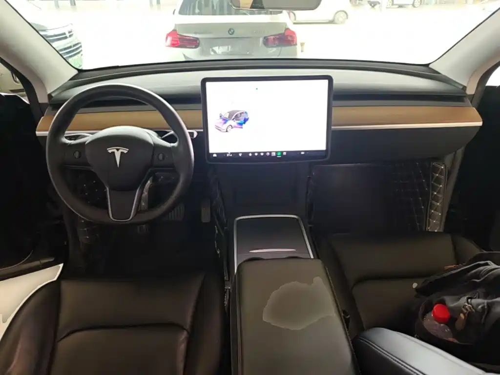 Tesla Model Y — миниатюра 10