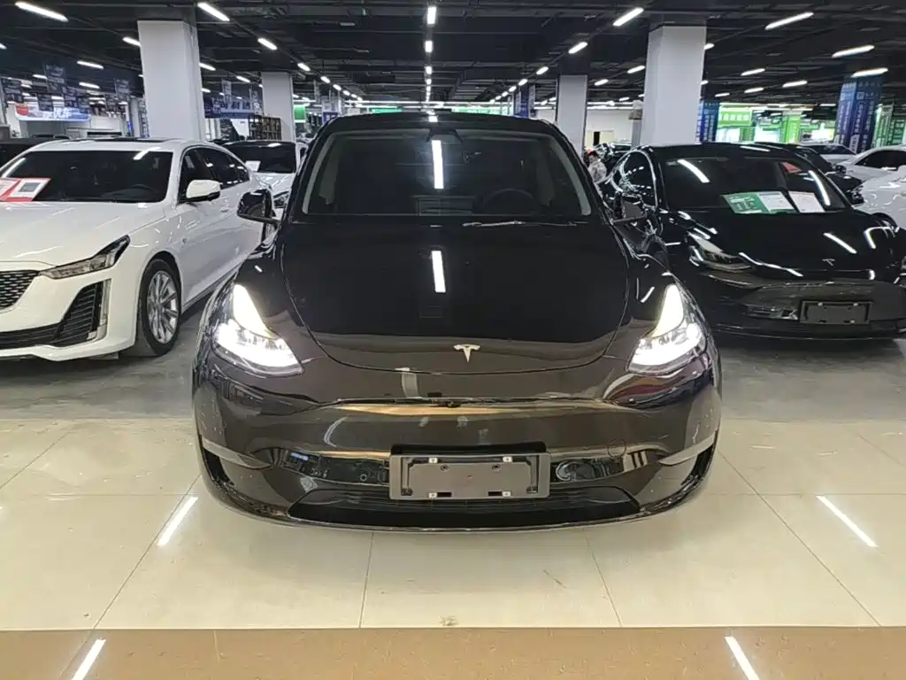 Tesla Model Y — миниатюра 3