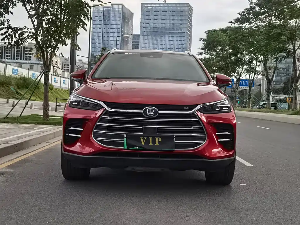 BYD Tang New Energy — миниатюра 2