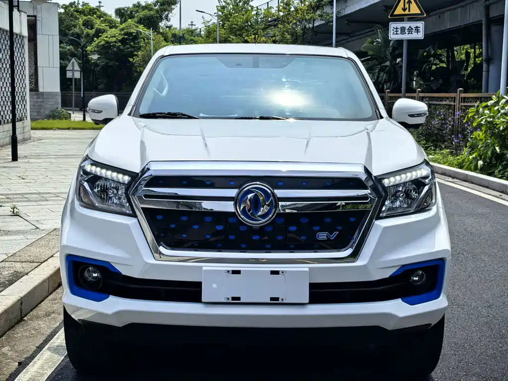 Dongfeng Rich 6 New Energy — миниатюра 3