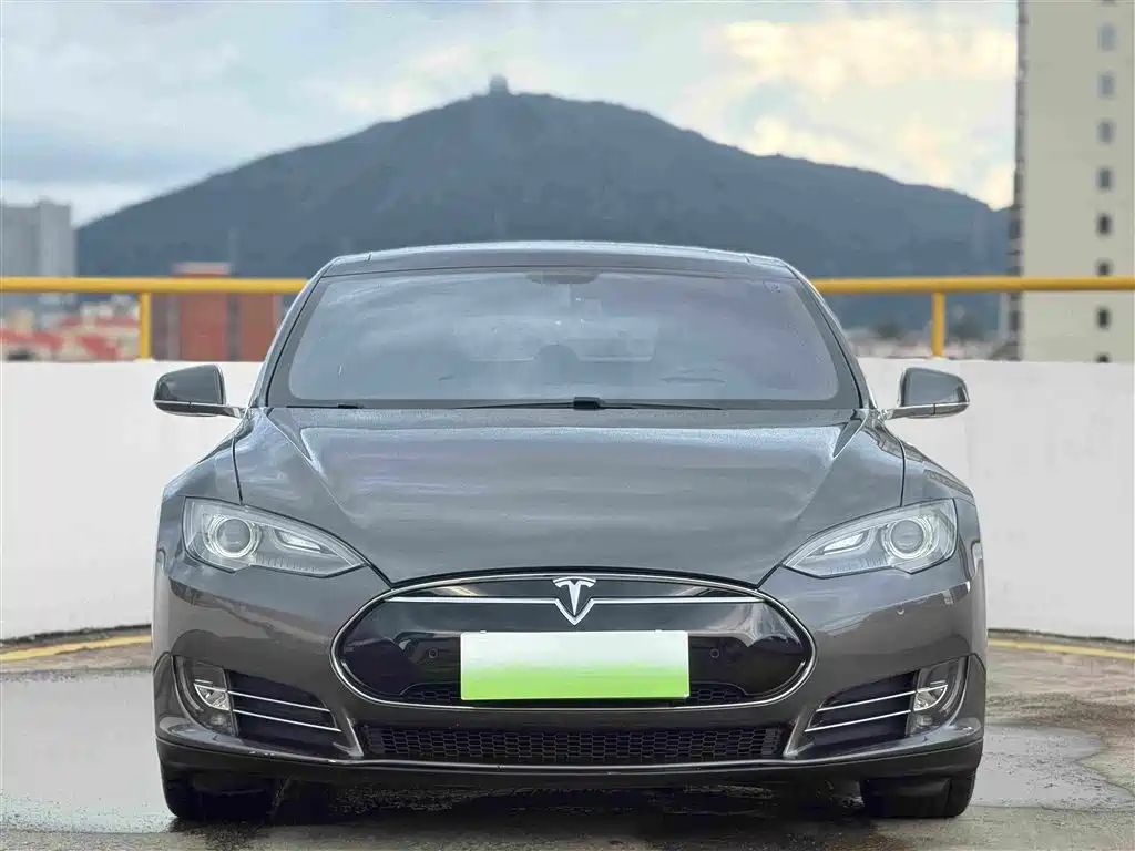 Tesla Model S — миниатюра 2
