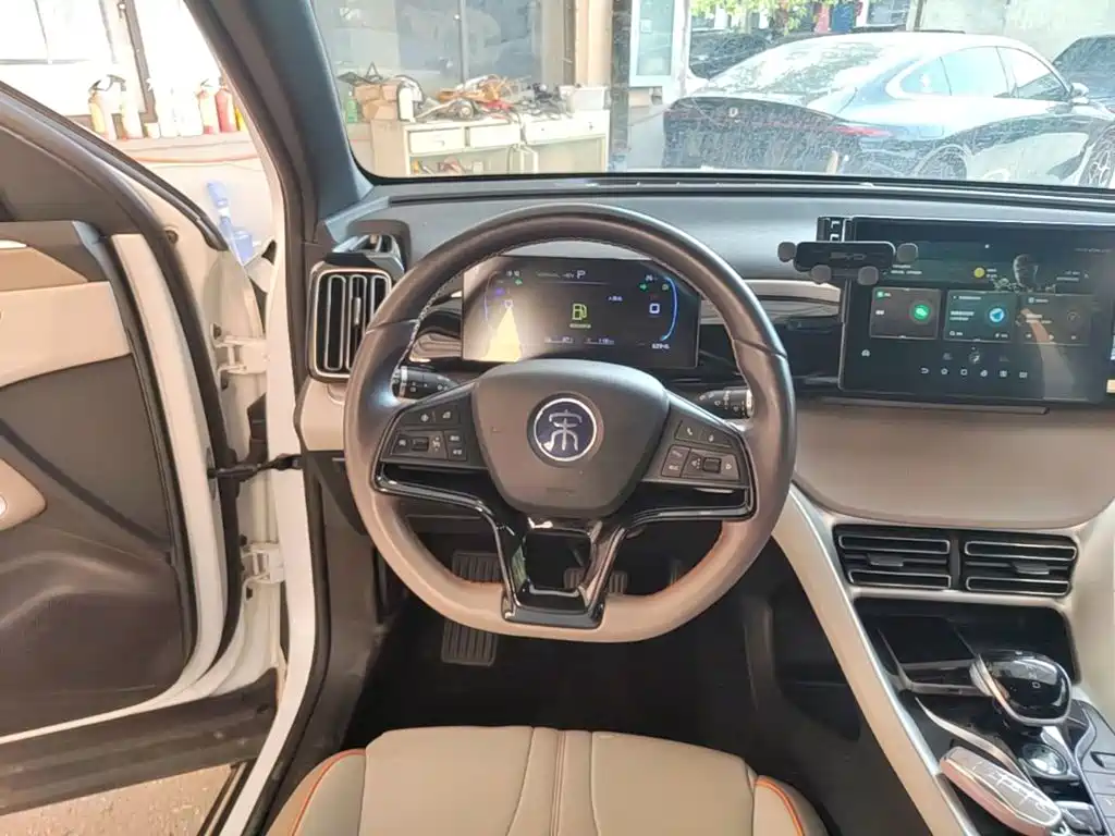BYD Pro New Energy — миниатюра 11