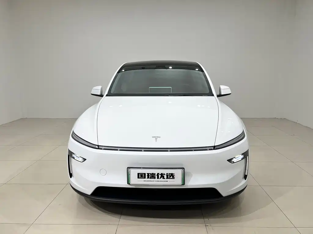 Tesla Model Y — миниатюра 2