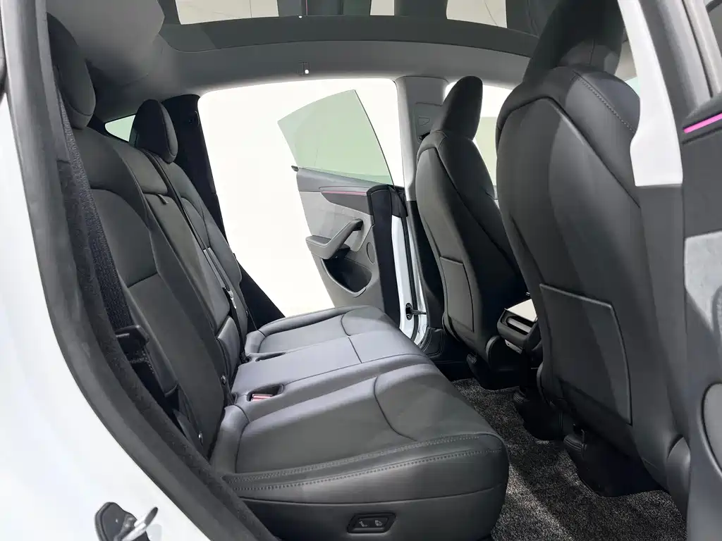Tesla Model Y — миниатюра 10