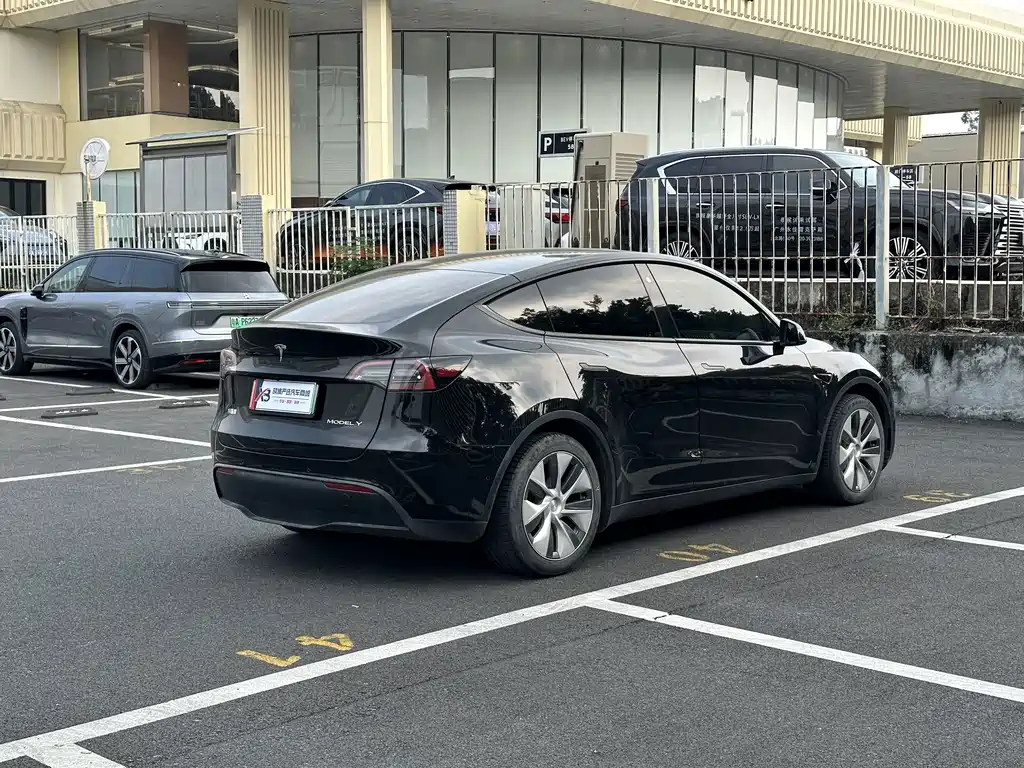 Tesla Model Y — миниатюра 6