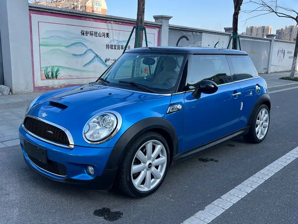 Mini Mini 2010
