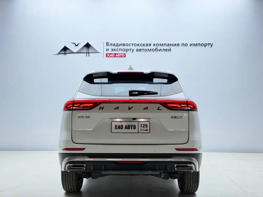 Haval H6 — миниатюра 5