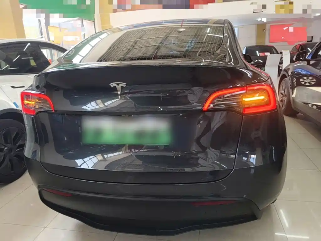 Tesla Model Y — миниатюра 6