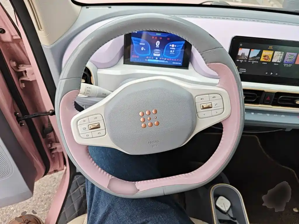 Fengguang Fengguang MINIEV — миниатюра 11