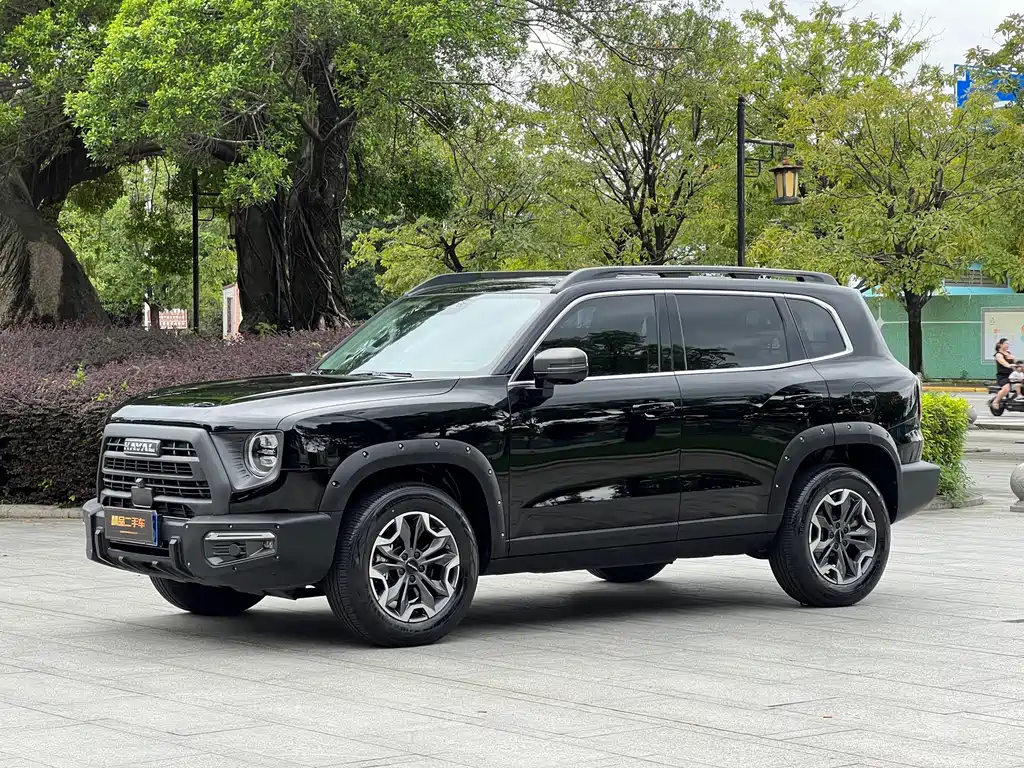 Haval Big Dog