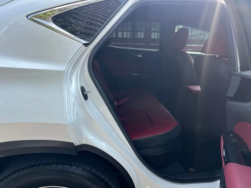Lexus NX — миниатюра 11