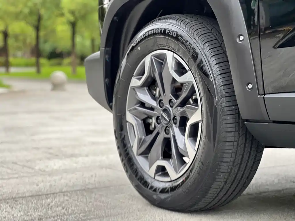 Haval Big Dog — миниатюра 9
