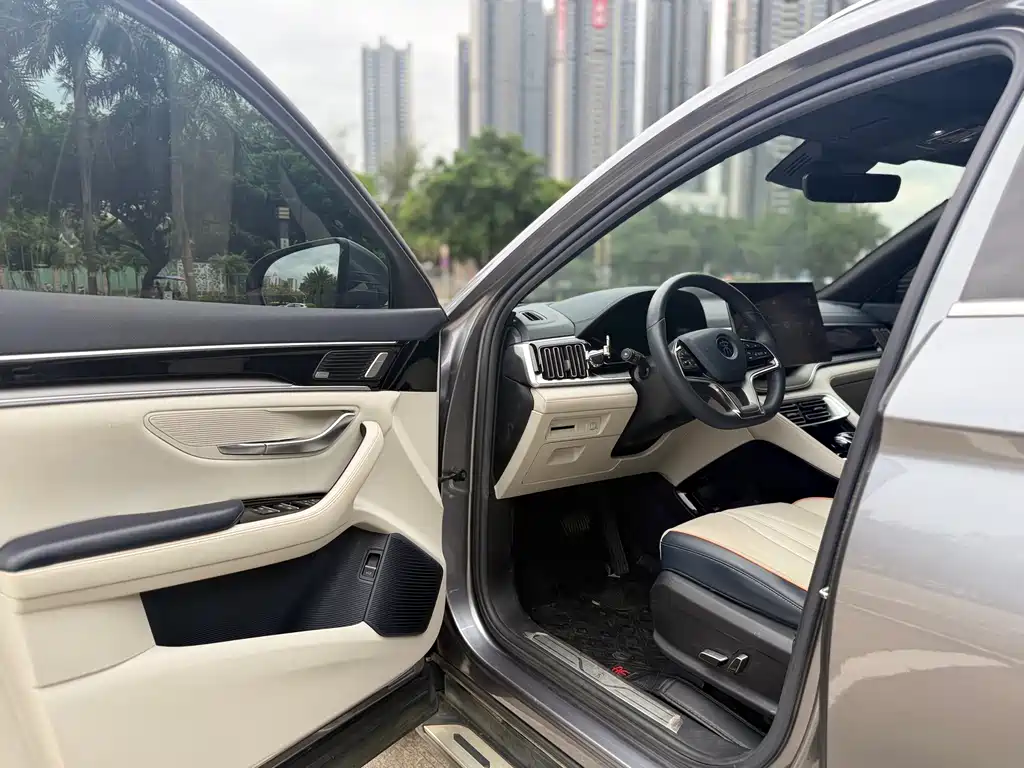 BYD PLUS New Energy — миниатюра 7