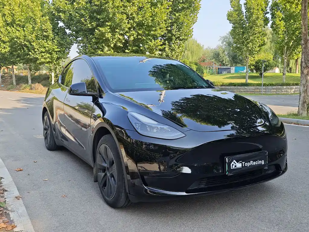 Tesla Model Y — миниатюра 3