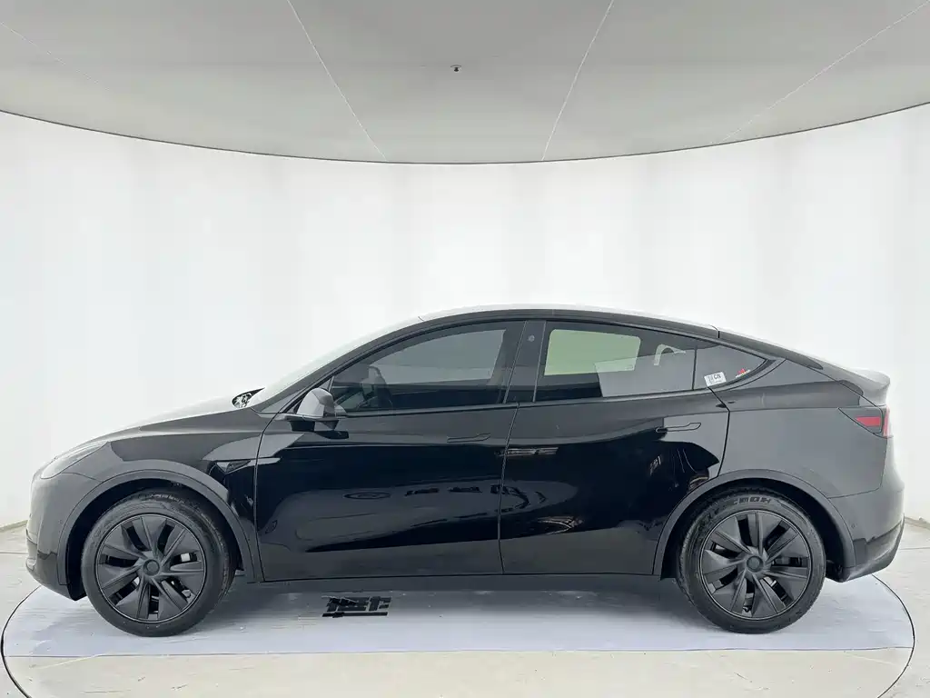 Tesla Model Y — миниатюра 3