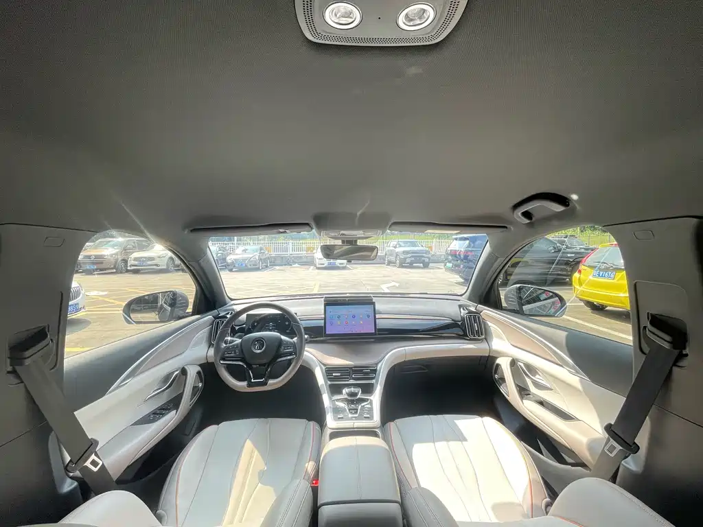 BYD Pro New Energy — миниатюра 20