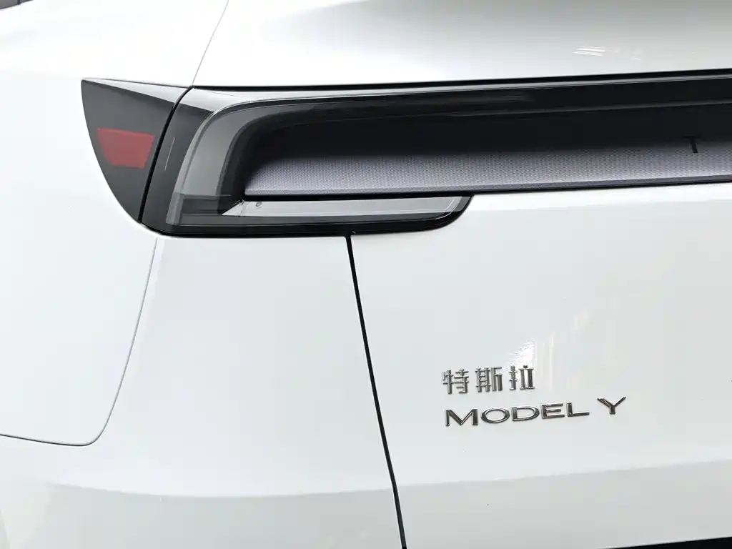 Tesla Model Y — миниатюра 7
