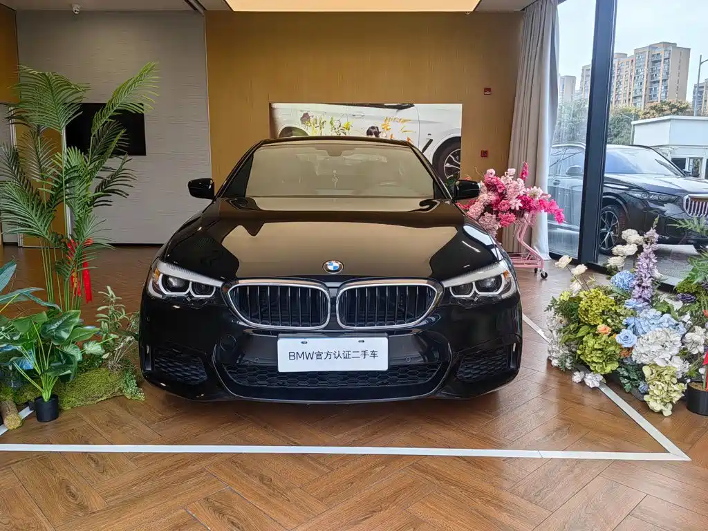 BMW 5 Series — миниатюра 2