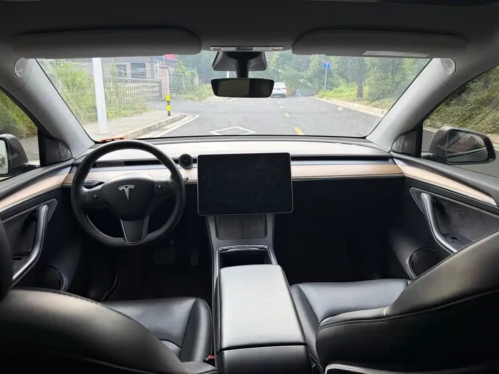 Tesla Model Y — миниатюра 5