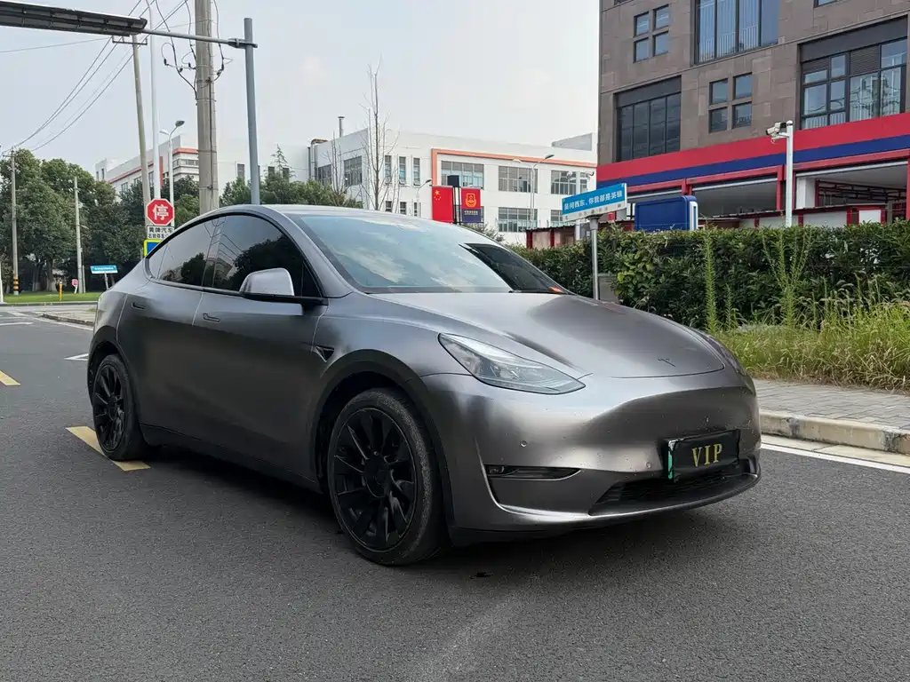 Tesla Model Y — миниатюра 3