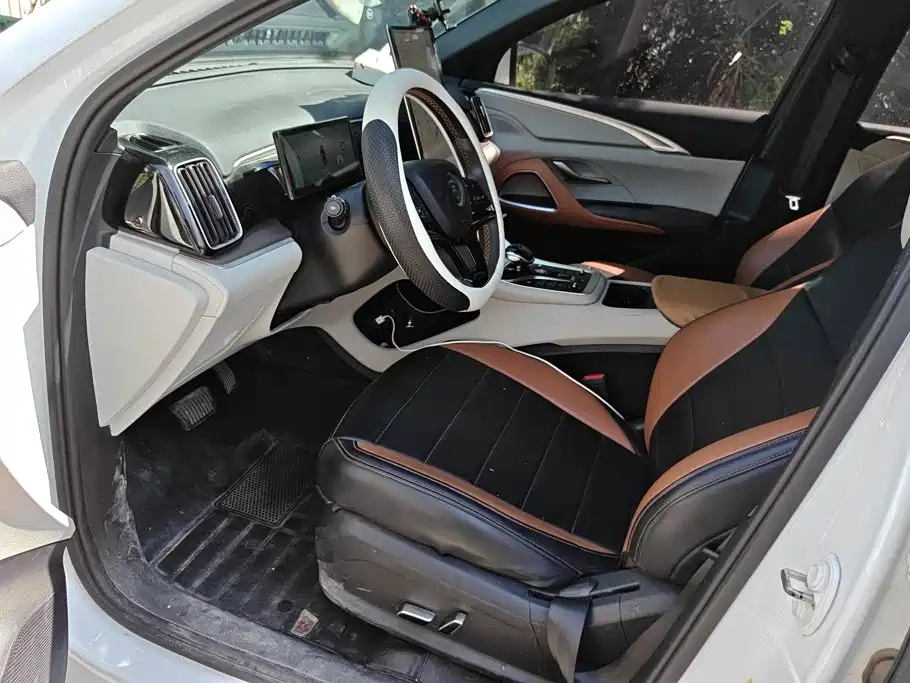 BYD Pro New Energy — миниатюра 9