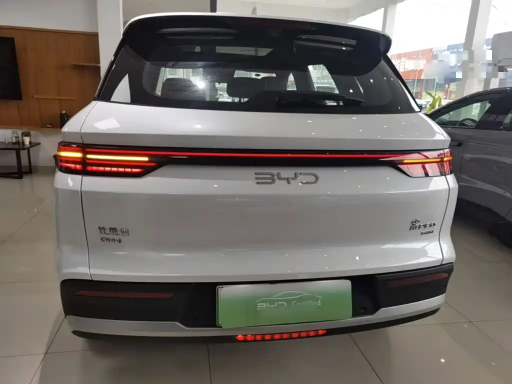 BYD Pro New Energy — миниатюра 6