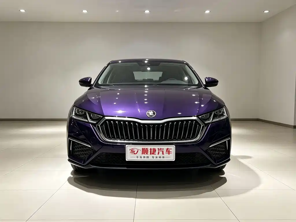 Skoda Octavia — миниатюра 2