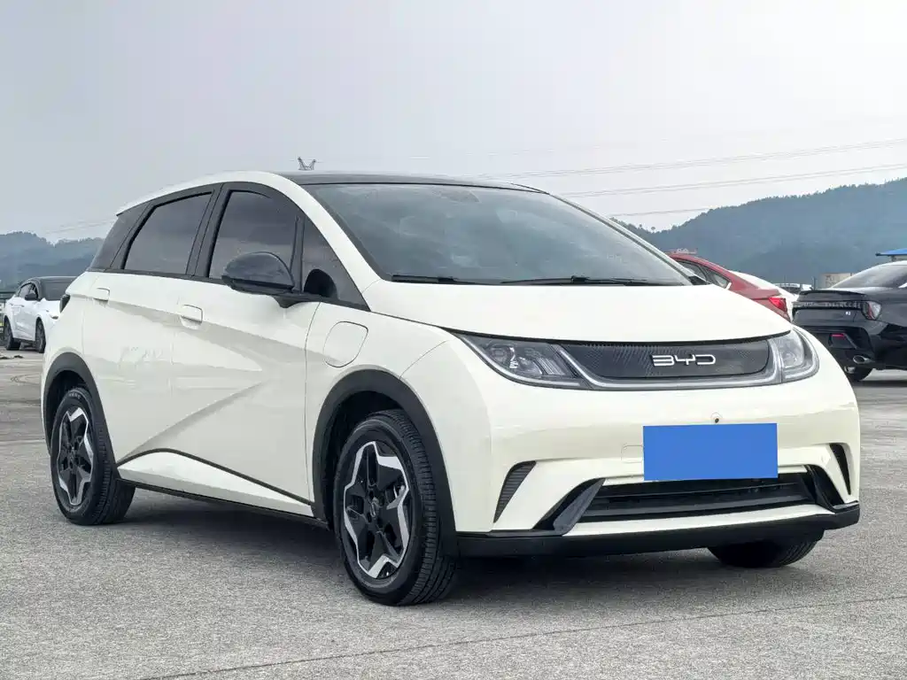 BYD Dolphin 2021 405km Fashion