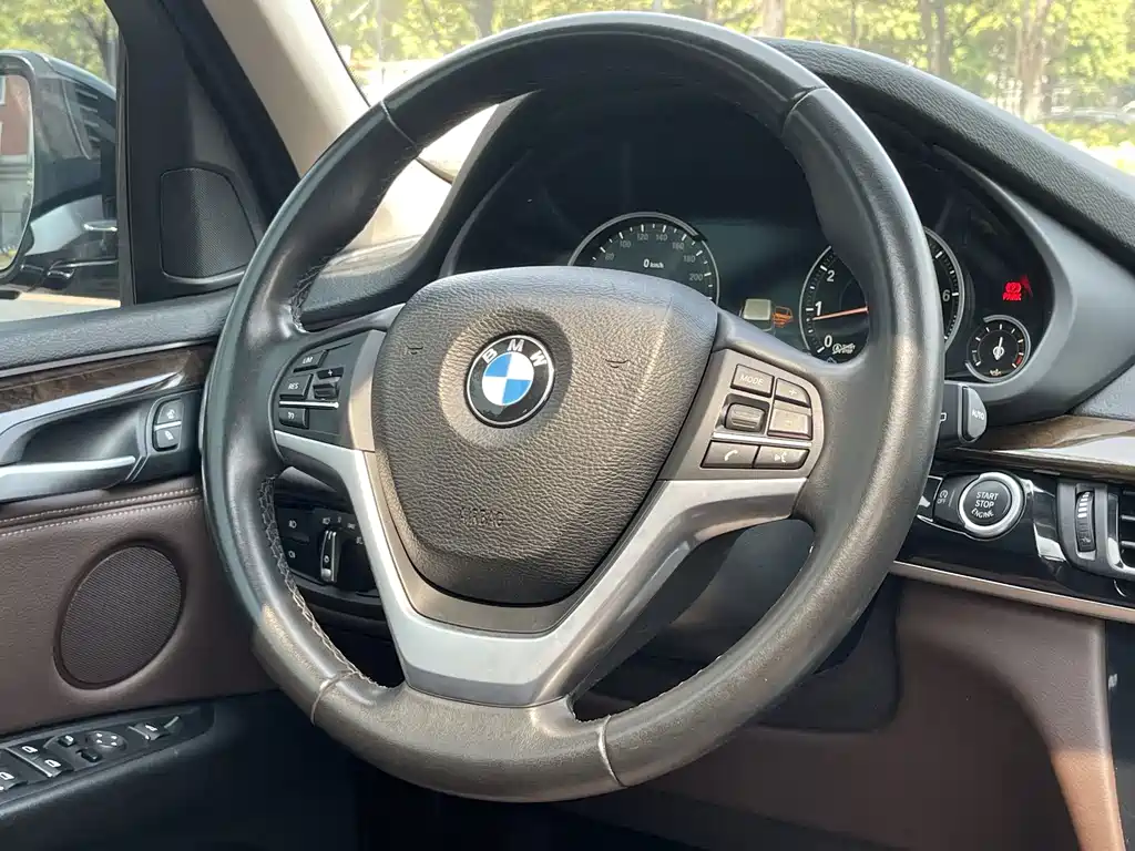 BMW X5 (Import) — миниатюра 19
