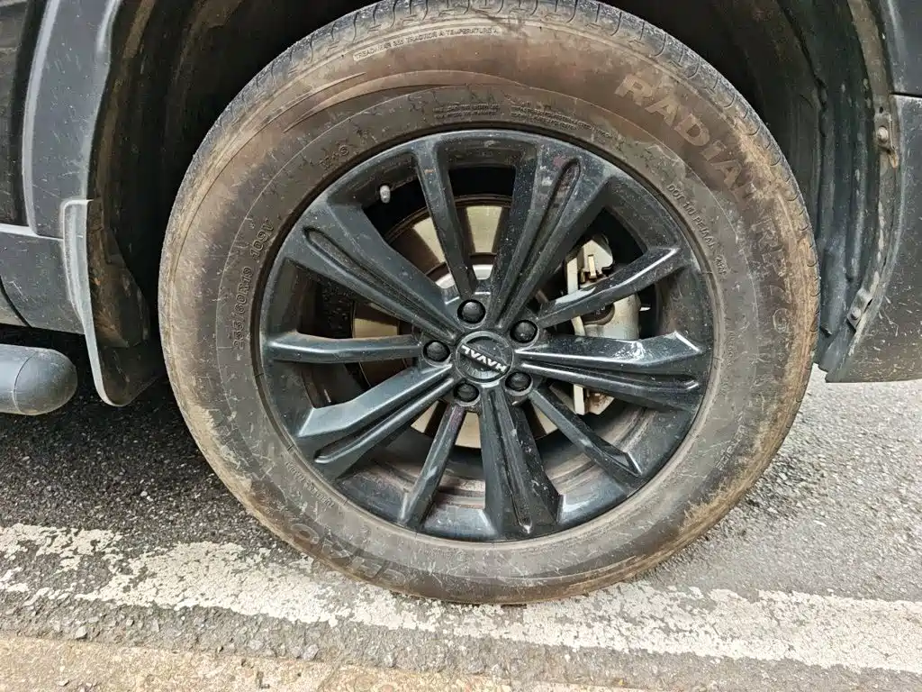 Haval Menglong New Energy — миниатюра 24