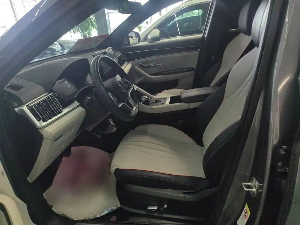 BYD PLUS New Energy — миниатюра 10